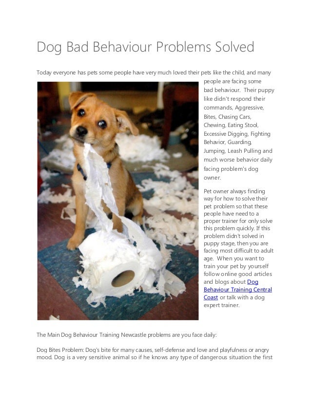 Dog Bad Behaviour Problems Solved