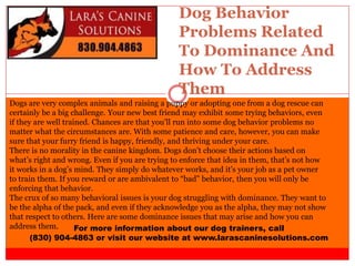 Dog Behavior
Problems Related
To Dominance And
How To Address
Them
For more information about our dog trainers, call
(830) 904-4863 or visit our website at www.larascaninesolutions.com
Dogs are very complex animals and raising a puppy or adopting one from a dog rescue can
certainly be a big challenge. Your new best friend may exhibit some trying behaviors, even
if they are well trained. Chances are that you’ll run into some dog behavior problems no
matter what the circumstances are. With some patience and care, however, you can make
sure that your furry friend is happy, friendly, and thriving under your care.
There is no morality in the canine kingdom. Dogs don’t choose their actions based on
what’s right and wrong. Even if you are trying to enforce that idea in them, that’s not how
it works in a dog’s mind. They simply do whatever works, and it’s your job as a pet owner
to train them. If you reward or are ambivalent to “bad” behavior, then you will only be
enforcing that behavior.
The crux of so many behavioral issues is your dog struggling with dominance. They want to
be the alpha of the pack, and even if they acknowledge you as the alpha, they may not show
that respect to others. Here are some dominance issues that may arise and how you can
address them.
 