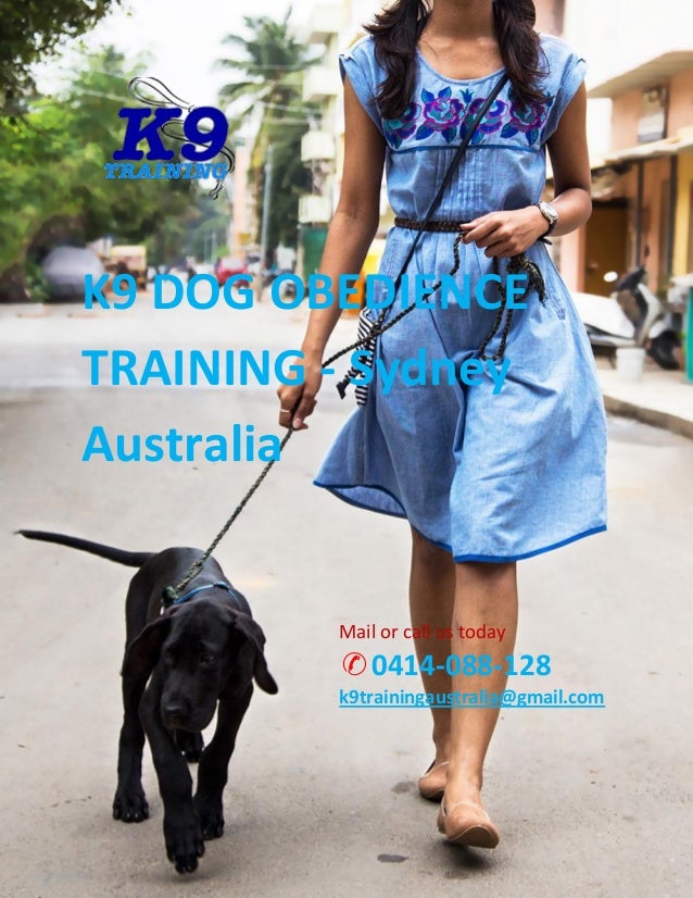 Dog Behaviour Training for Pets Owner easy way Dog Training Methods