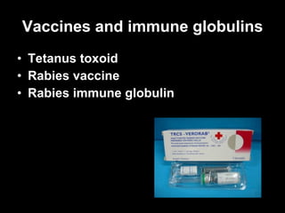 Is Tetanus Needed For Dog Bite