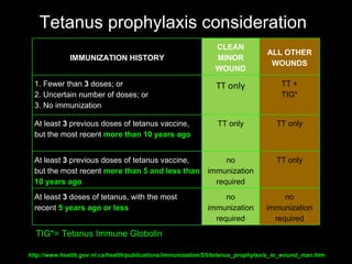 Is Tetanus Required After Dog Bite