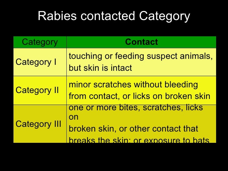 Dog Bite Injection Video Dog Bite Injection Video