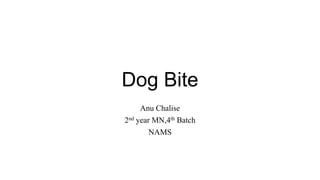 Dog Bite
Anu Chalise
2nd year MN,4th Batch
NAMS
 