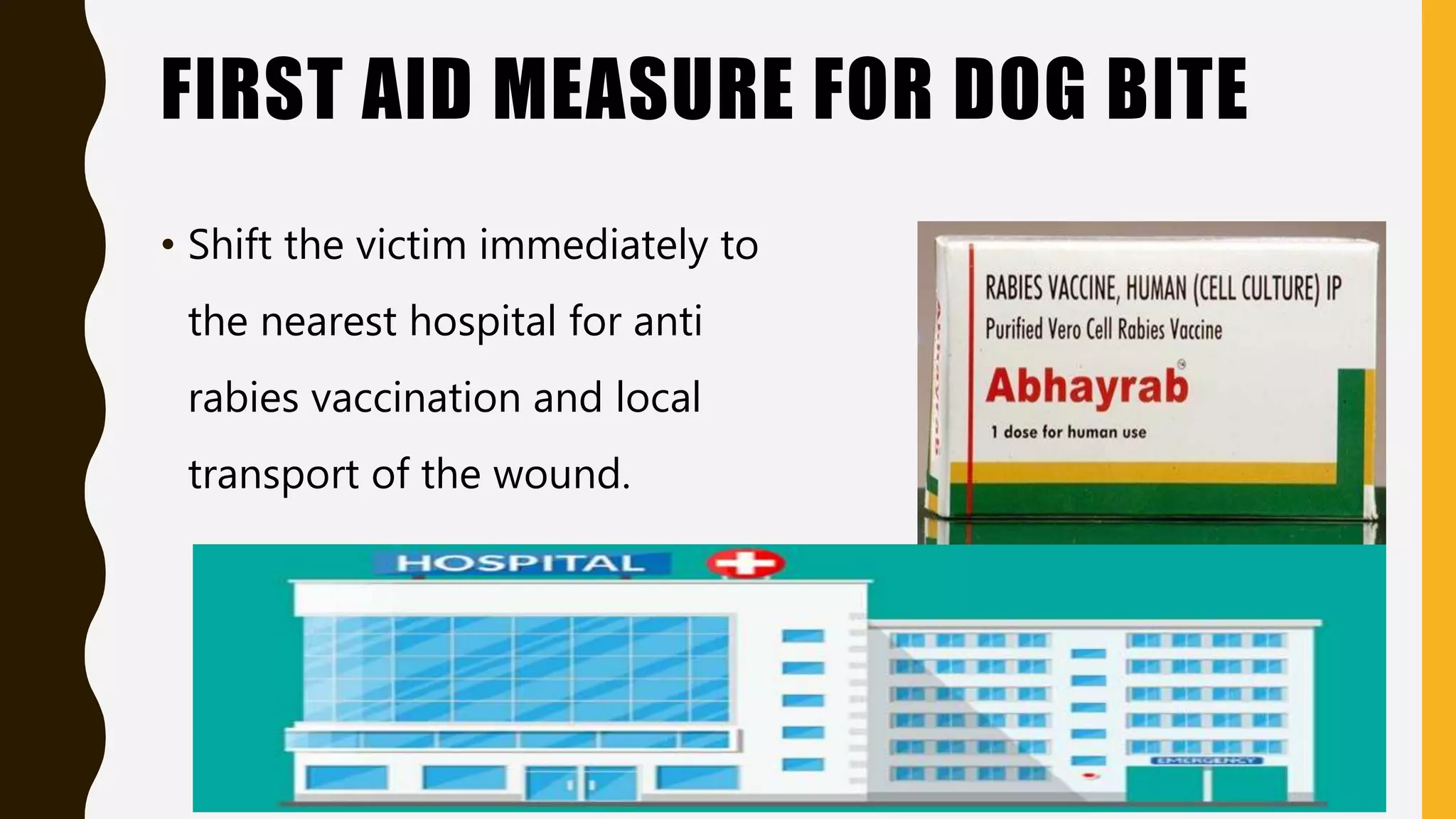 first aid for Dog bite PPT