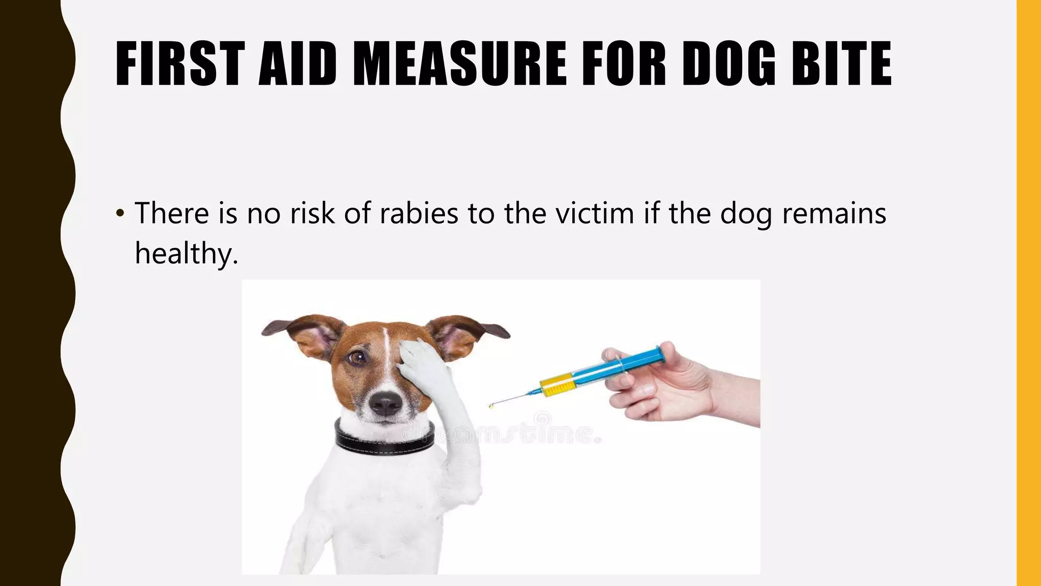 first aid for Dog bite PPT