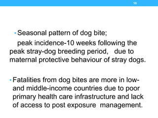Photo inspiration: Fresh Look at Dog Bite And It S Management Ravindra G O