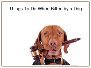 Things To Do When Bitten by a Dog
 