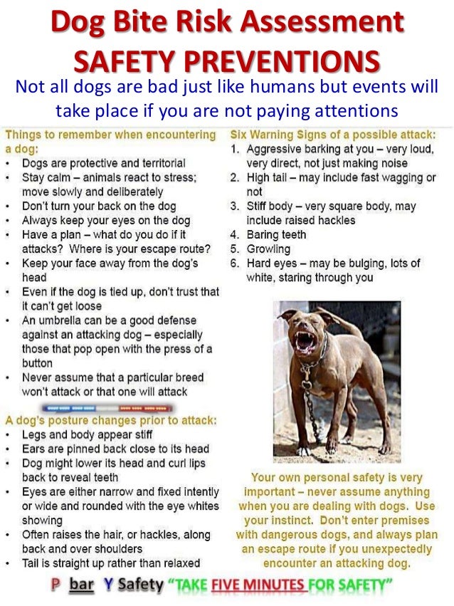 Dog Bite Doctor Dog Bite Doctor