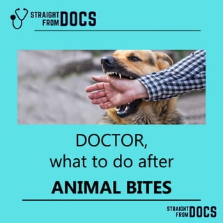 DOCTOR,
what to do after
ANIMAL BITES
 