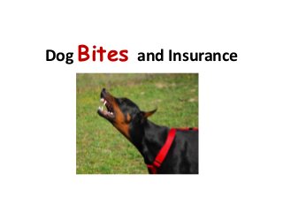 Dog Bites and Insurance
 
