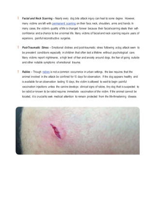 Dog Bite Guidebook: Tips for Helping Victims Recover Compensation | DOCX