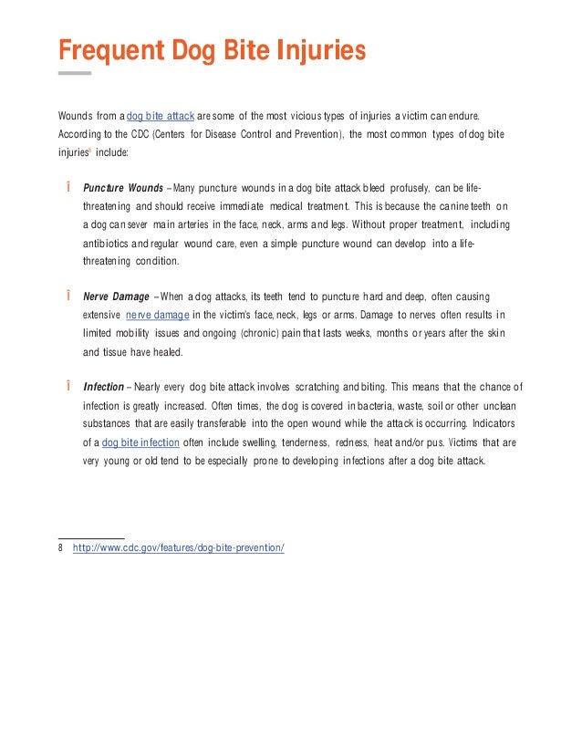 Dog Bite Guidebook Tips for Helping Victims Recover Compensation