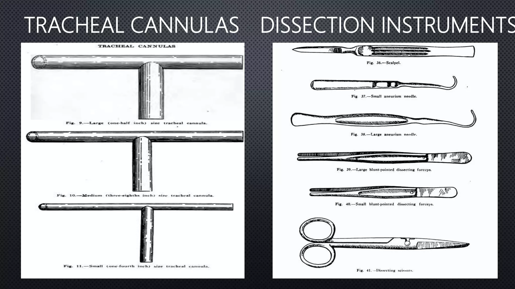 Dog blood pressure PPTX