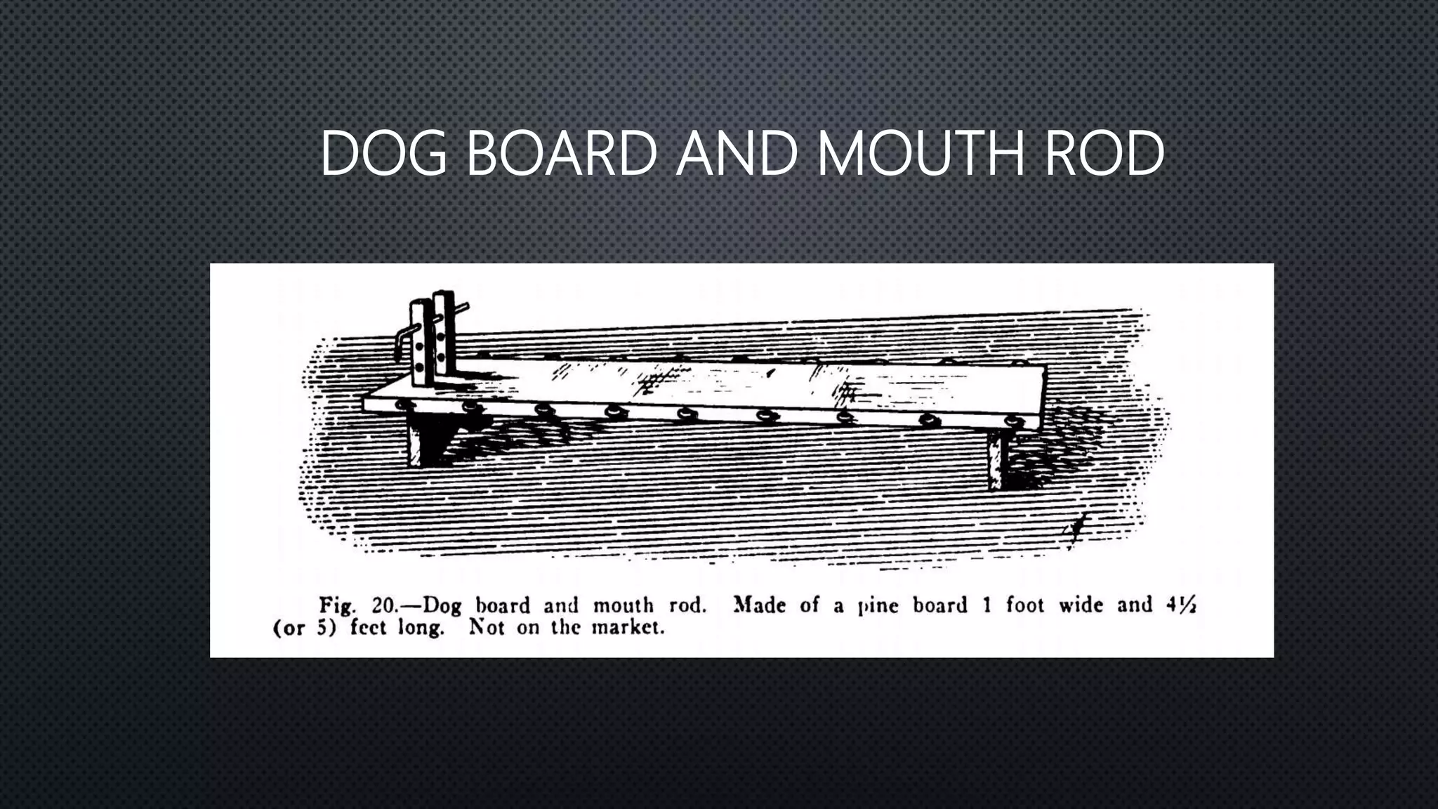 Dog blood pressure PPTX