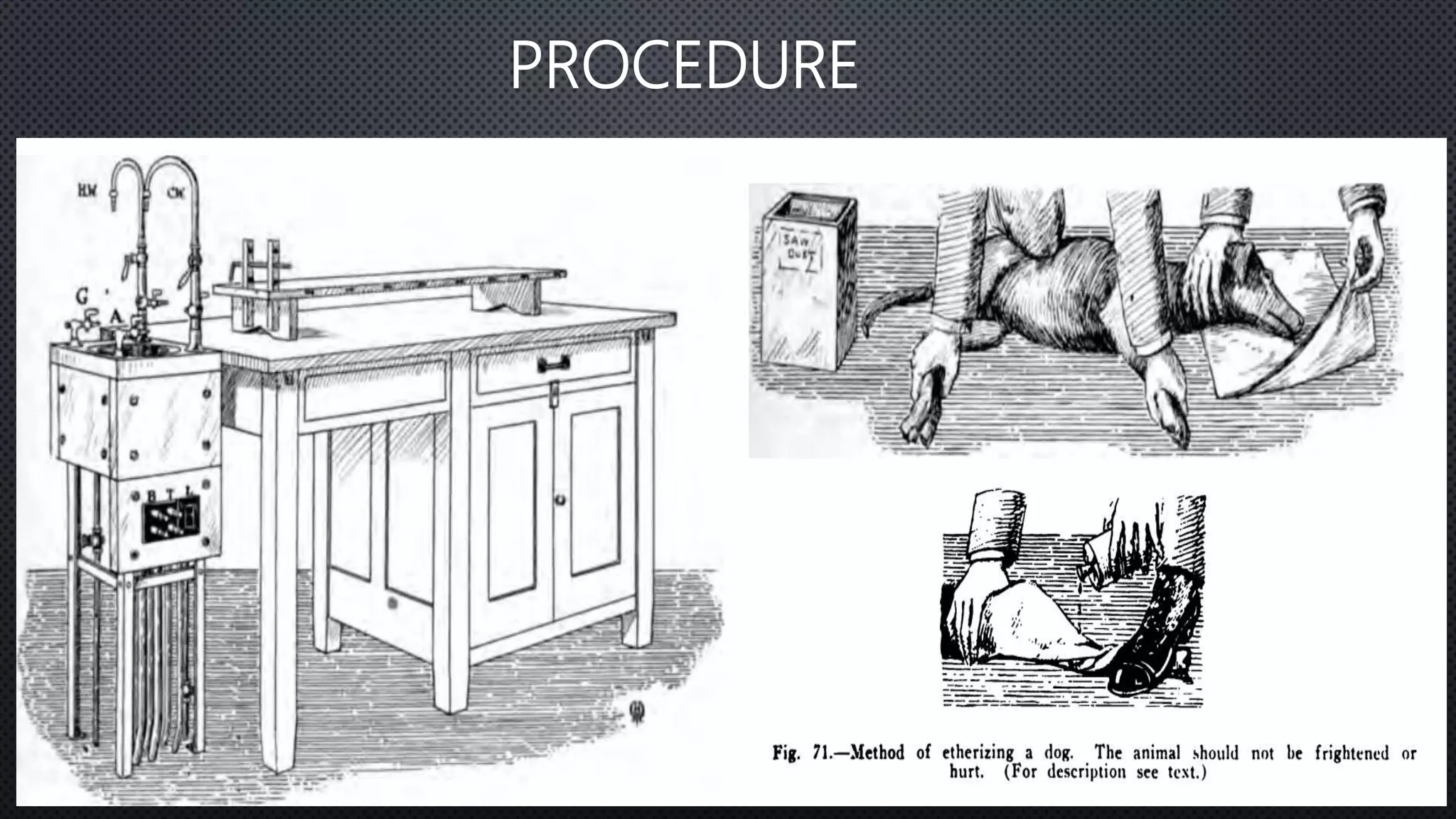 Dog blood pressure PPTX