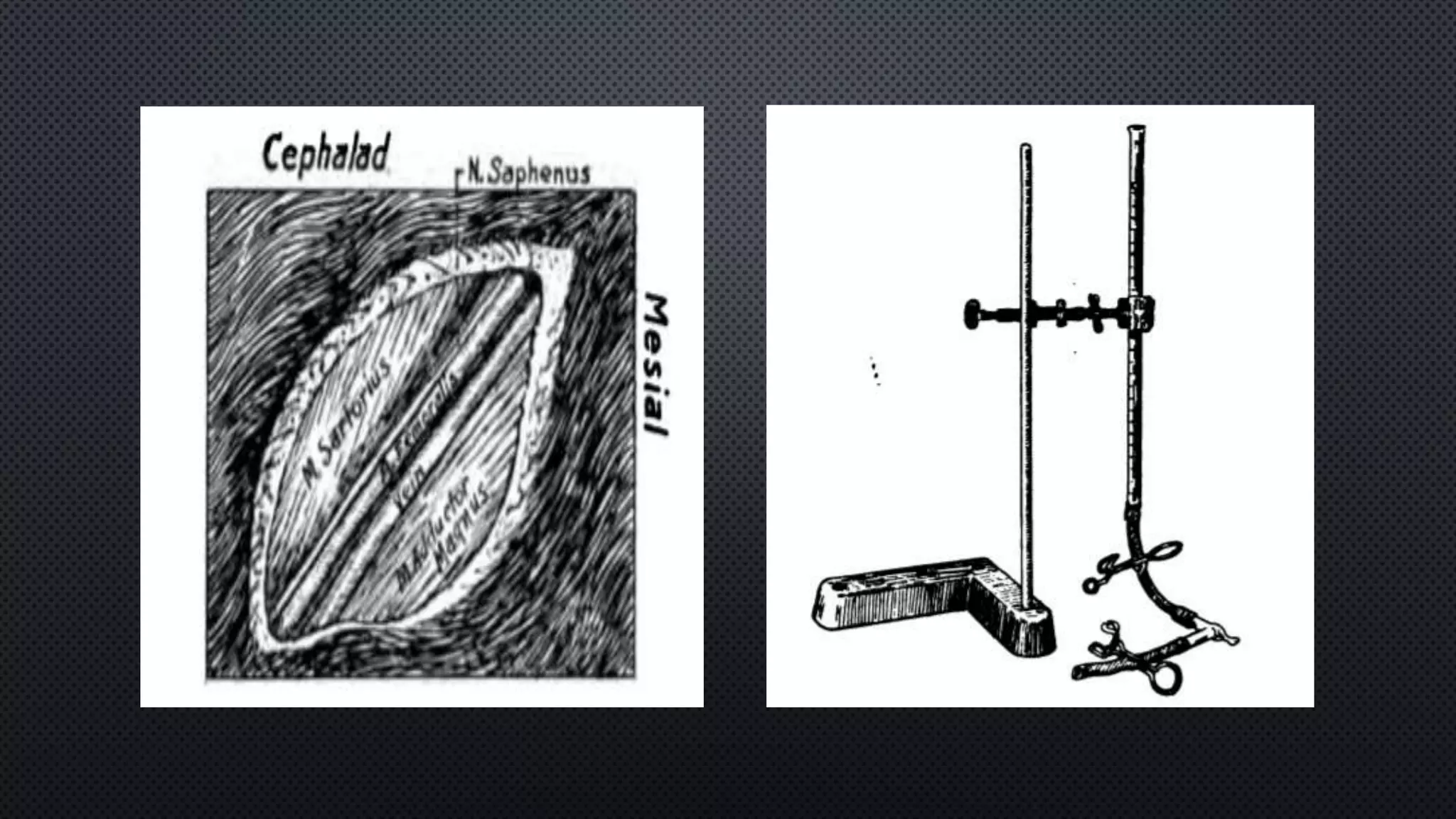 Dog blood pressure PPTX