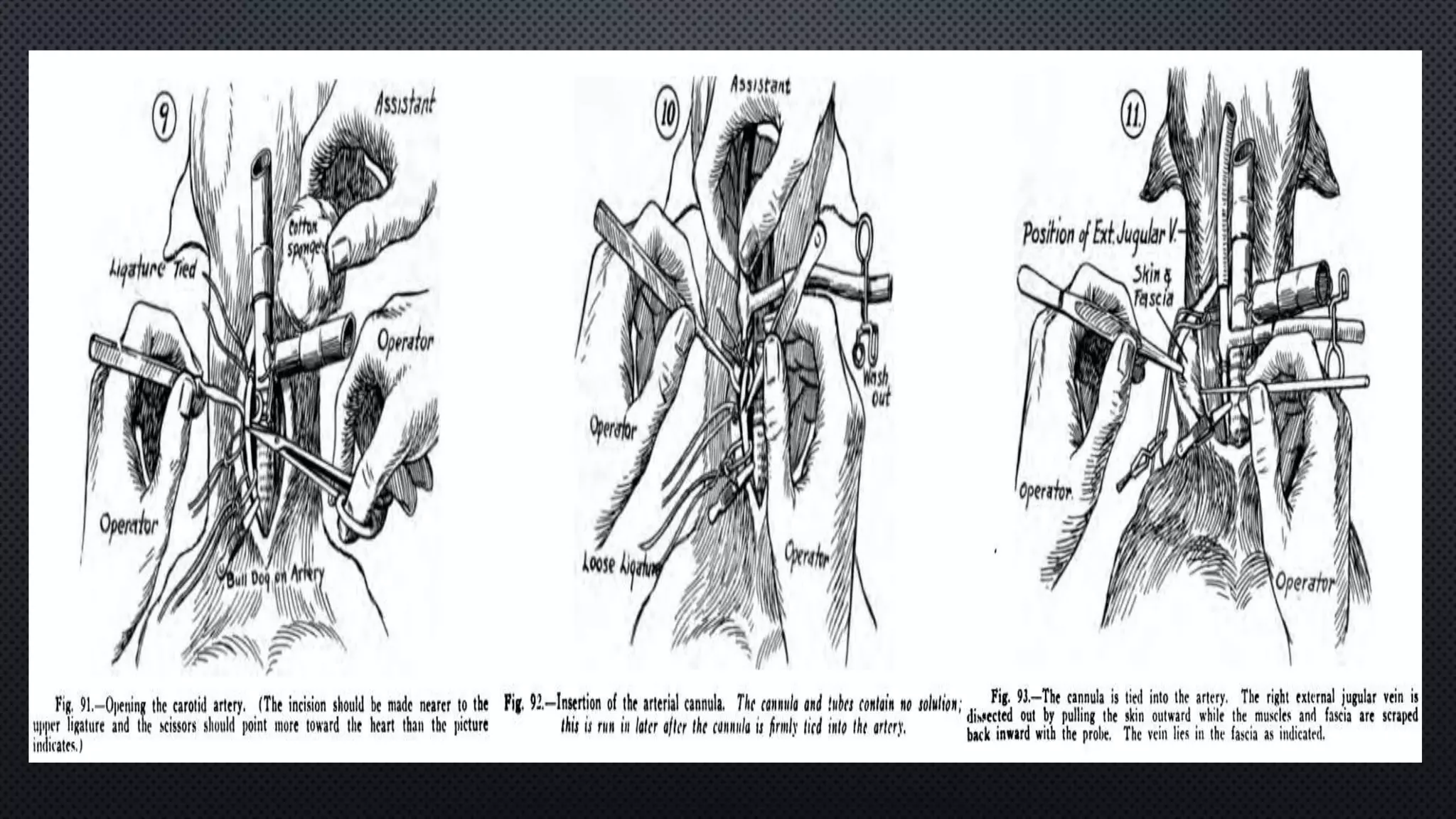 Dog blood pressure PPTX