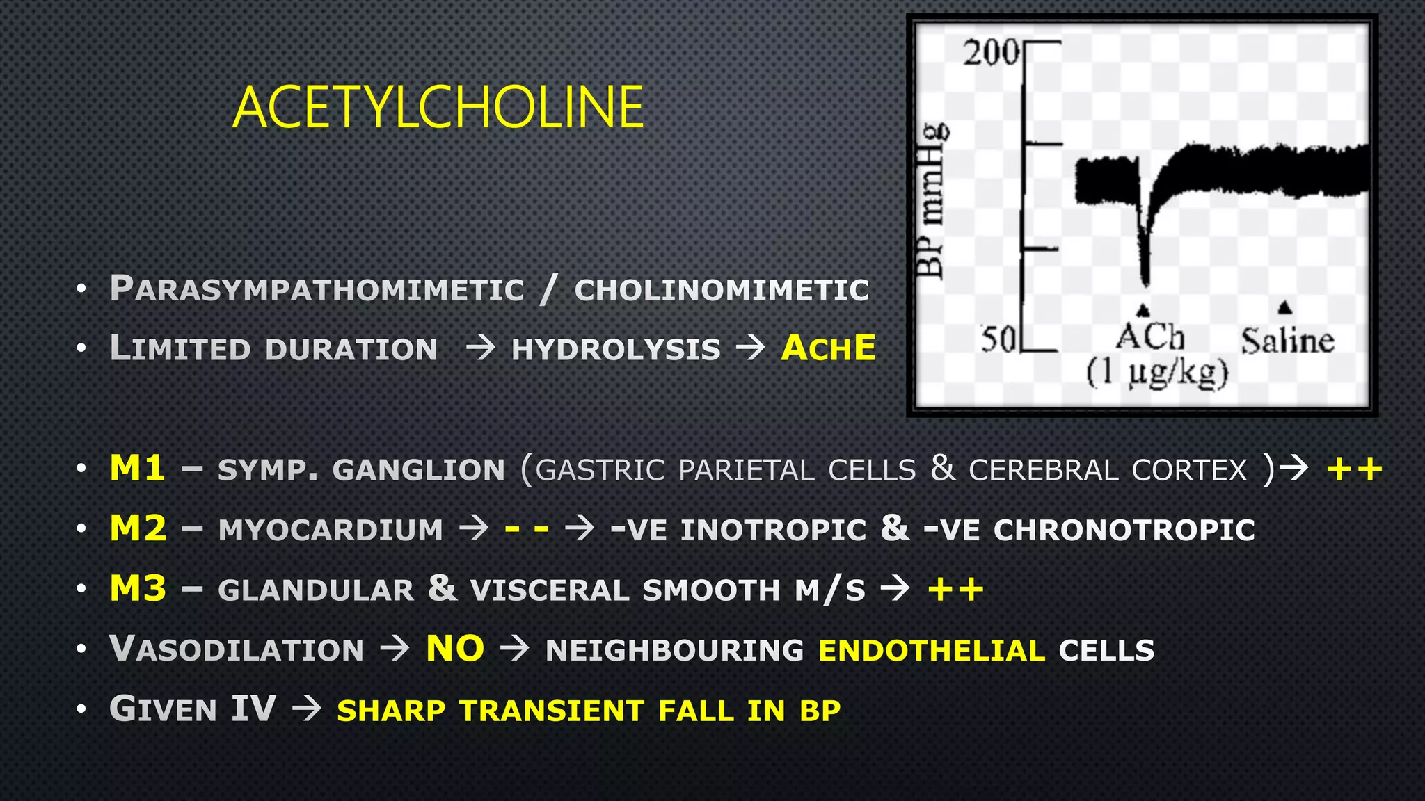 Dog blood pressure PPTX