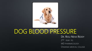 Photo inspiration: Picture Idea: Dog Blood Pressure