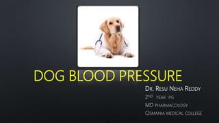 DOG BLOOD PRESSURE
DR. RESU NEHA REDDY
2ND YEAR PG
MD PHARMACOLOGY
OSMANIA MEDICAL COLLEGE
 