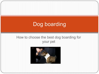 How to choose the best dog boarding for your pet Dog boarding  