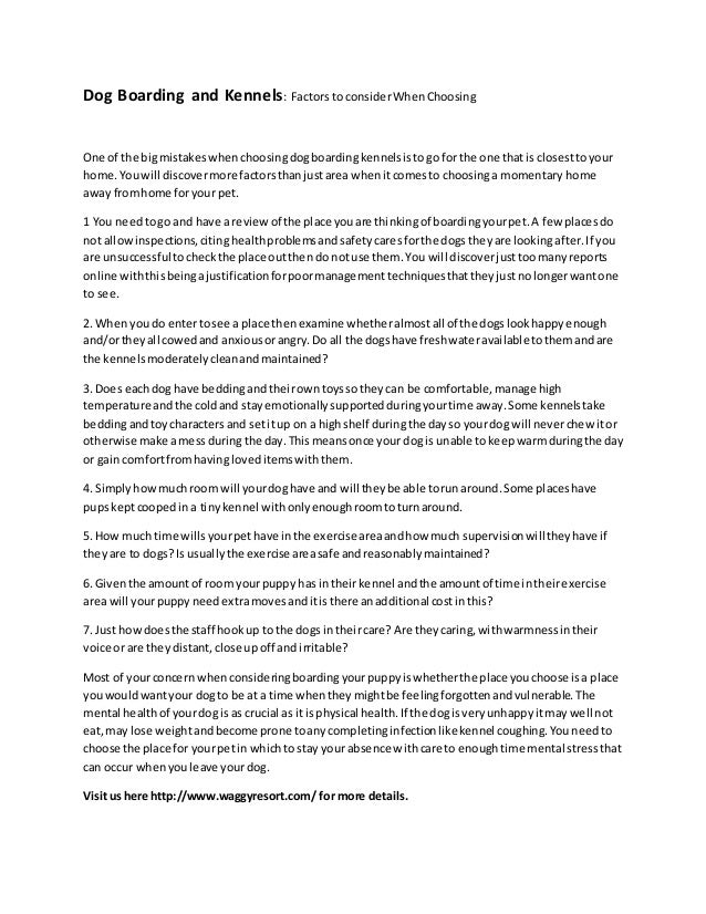 home from home boarding kennels