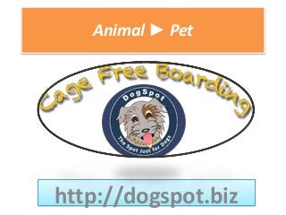 Animal ► Pet
http://dogspot.biz
 