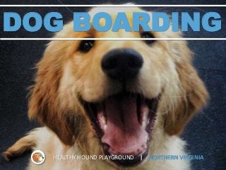 DOG BOARDING
HEALTHY HOUND PLAYGROUND | NORTHERN VIRGINIA
 
