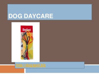 DOG DAYCARE
http://dogspot.biz
 