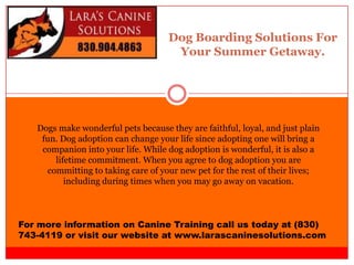Dog Boarding Solutions For
Your Summer Getaway.
For more information on Canine Training call us today at (830)
743-4119 or visit our website at www.larascaninesolutions.com
Dogs make wonderful pets because they are faithful, loyal, and just plain
fun. Dog adoption can change your life since adopting one will bring a
companion into your life. While dog adoption is wonderful, it is also a
lifetime commitment. When you agree to dog adoption you are
committing to taking care of your new pet for the rest of their lives;
including during times when you may go away on vacation.
 