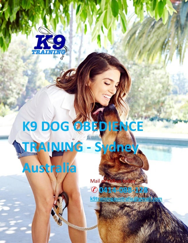 Dog boarding & training sydney by k9 dog obedience training