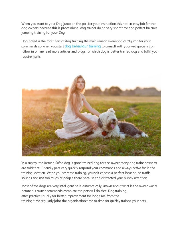 Dog boarding & training sydney by k9 dog obedience training