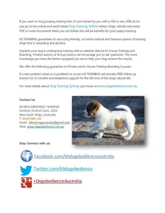 Dog Boarding House Sydney Dog Boarding House Sydney