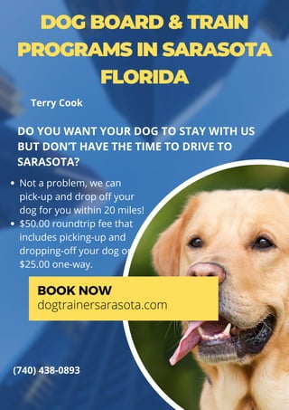 DOG BOARD & TRAIN
PROGRAMS IN SARASOTA
FLORIDA
Not a problem, we can
pick-up and drop off your
dog for you within 20 miles!
$50.00 roundtrip fee that
includes picking-up and
dropping-off your dog or
$25.00 one-way.
DO YOU WANT YOUR DOG TO STAY WITH US
BUT DON’T HAVE THE TIME TO DRIVE TO
SARASOTA?
BOOK NOW
dogtrainersarasota.com
(740) 438-0893
Terry Cook
 
