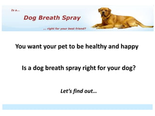 Why are we here?


You want your pet to be healthy and happy


  Is a dog breath spray right for your dog?


                   Let’s find out…
 