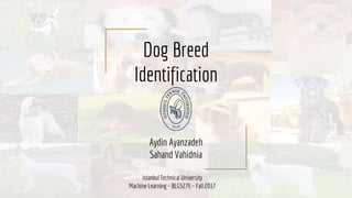 Dog Breed
Identification
Aydin Ayanzadeh
Sahand Vahidnia
Istanbul Technical University
Machine Learning - BLG527E - Fall 2017
 