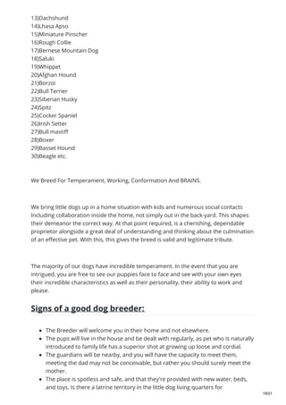 13)Dachshund
14)Lhasa Apso
15)Miniature Pinscher
16)Rough Collie
17)Bernese Mountain Dog
18)Saluki
19)Whippet
20)Afghan Hound
21)Borzoi
22)Bull Terrier
23)Siberian Husky
24)Spitz
25)Cocker Spaniel
26)Irish Setter
27)Bull mastiff
28)Boxer
29)Basset Hound
30)Beagle etc.
We Breed For Temperament, Working, Conformation And BRAINS.
We bring little dogs up in a home situation with kids and numerous social contacts
Including collaboration inside the home, not simply out in the back-yard. This shapes
their demeanor the correct way. At that point required, is a cherishing, dependable
proprietor alongside a great deal of understanding and thinking about the culmination
of an effective pet. With this, this gives the breed is valid and legitimate tribute.
The majority of our dogs have incredible temperament. In the event that you are
intrigued, you are free to see our puppies face to face and see with your own eyes
their incredible characteristics as well as their personality, their ability to work and
please.
Signs of a good dog breeder:
The Breeder will welcome you in their home and not elsewhere.
The pups will live in the house and be dealt with regularly, as pet who is naturally
introduced to family life has a superior shot at growing up loose and cordial.
The guardians will be nearby, and you will have the capacity to meet them,
meeting the dad may not be conceivable, but rather you should surely meet the
mother.
The place is spotless and safe, and that they're provided with new water, beds,
and toys. Is there a latrine territory in the little dog living quarters for
19/21
 