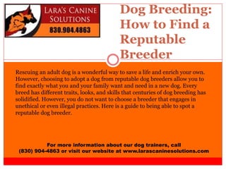Dog Breeding:
How to Find a
Reputable
Breeder
For more information about our dog trainers, call
(830) 904-4863 or visit our website at www.larascaninesolutions.com
Rescuing an adult dog is a wonderful way to save a life and enrich your own.
However, choosing to adopt a dog from reputable dog breeders allow you to
find exactly what you and your family want and need in a new dog. Every
breed has different traits, looks, and skills that centuries of dog breeding has
solidified. However, you do not want to choose a breeder that engages in
unethical or even illegal practices. Here is a guide to being able to spot a
reputable dog breeder.
 