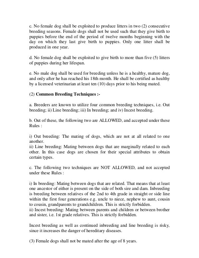 breeding female dogs