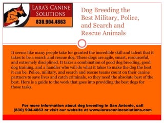 Dog Breeding the
Best Military, Police,
and Search and
Rescue Animals
For more information about dog breeding in San Antonio, call
(830) 904-4863 or visit our website at www.larascaninesolutions.com
It seems like many people take for granted the incredible skill and talent that it
takes to be a search and rescue dog. These dogs are agile, smart, resourceful,
and extremely disciplined. It takes a combination of good dog breeding, good
dog training, and a handler who will do what it takes to make the dog the best
it can be. Police, military, and search and rescue teams count on their canine
partners to save lives and catch criminals, so they need the absolute best of the
best. Here is a guide to the work that goes into providing the best dogs for
those tasks.
 