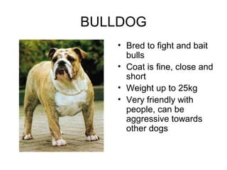 Dog breeds | PPT