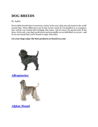 DOG BREEDS
By: dogtime
Even within breeds there's enormous variety in the way a dog acts and reacts tothe world
around him. Those differences can be due to how much he was handled as a youngster,
how well he was trained after bringing him home, and of course the genetic luck of the
draw. In the end, your dog's preferences and personality are as individual as you are--and
if you can accept that you're bound to enjoy each other.
Let your dogs enjoy the best products at foxyloves.com
Affenpinscher
Afghan Hound
 