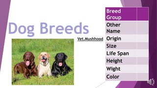 Dog Breeds
Breed
Group
Other
Name
Origin
Size
Life Span
Height
Wight
Color
Vet.Mushhood
 