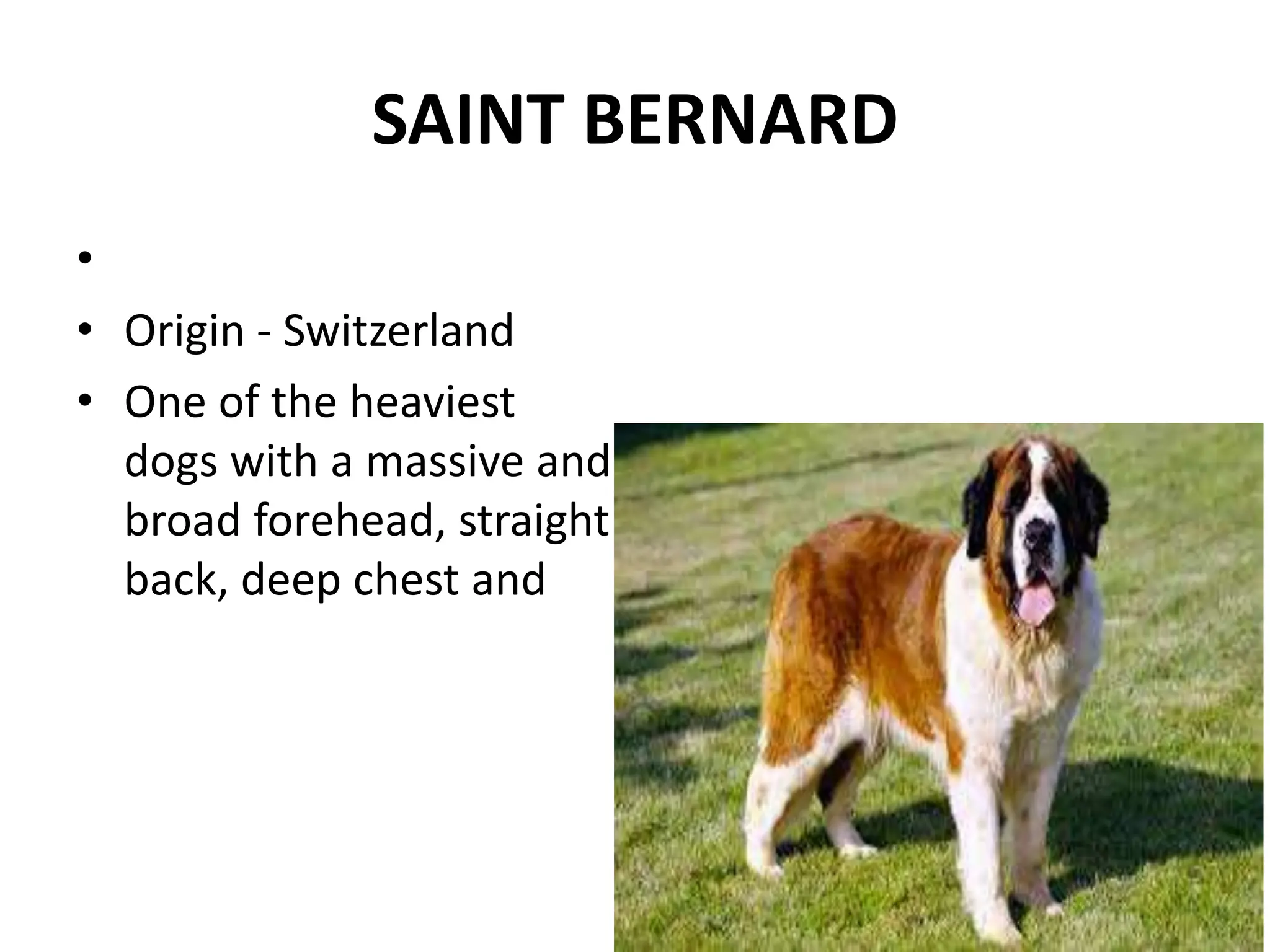 Dog breeds.ppt dog breeds classification | PPT