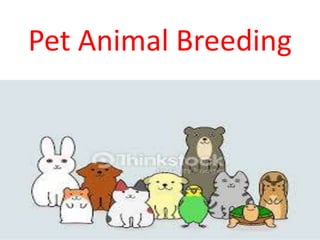 Pet Animal Breeding
 