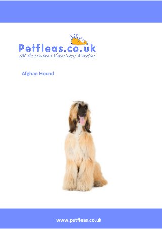 www.petfleas.co.uk
Afghan Hound
 