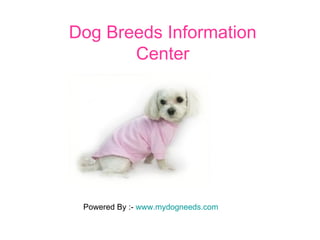 Dog Breeds Information Center Powered By :-  www.mydogneeds.com 