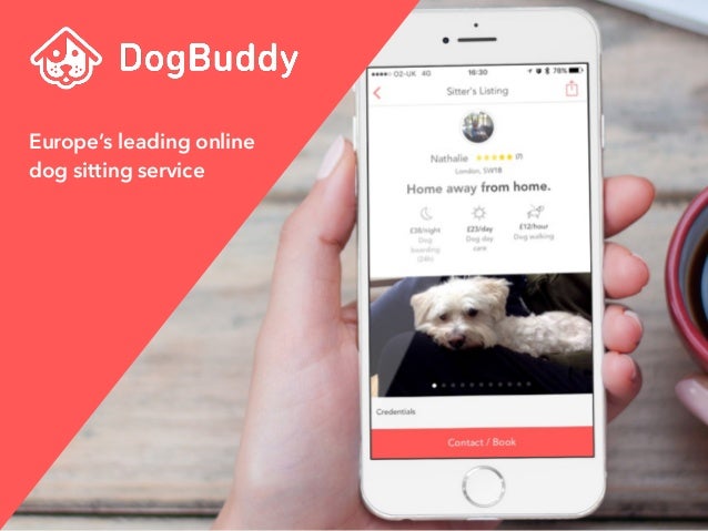 dogbuddy presentation at tech job fair