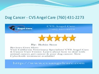 Dog Cancer - CVS Angel Care (760) 431-2273
 