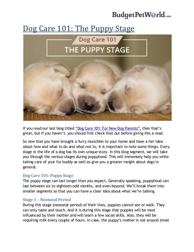 but what if it was for puppies